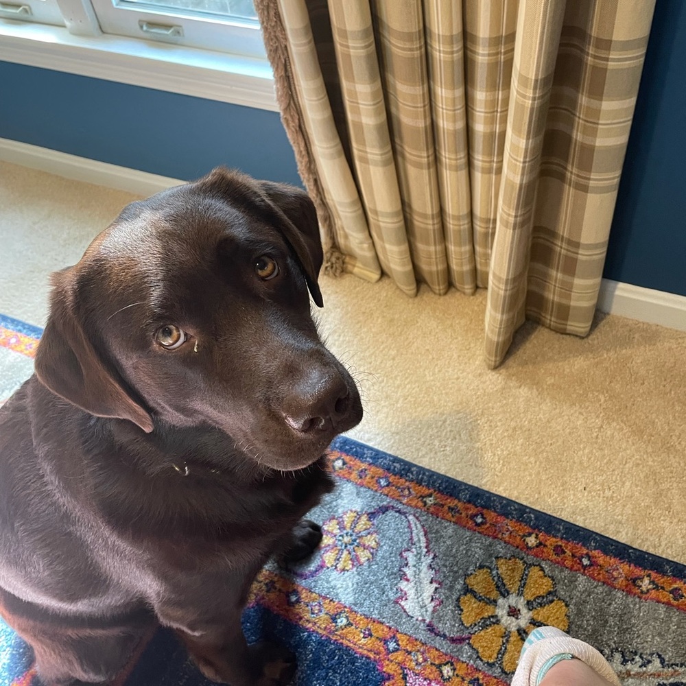 Meet your Posher, Jen